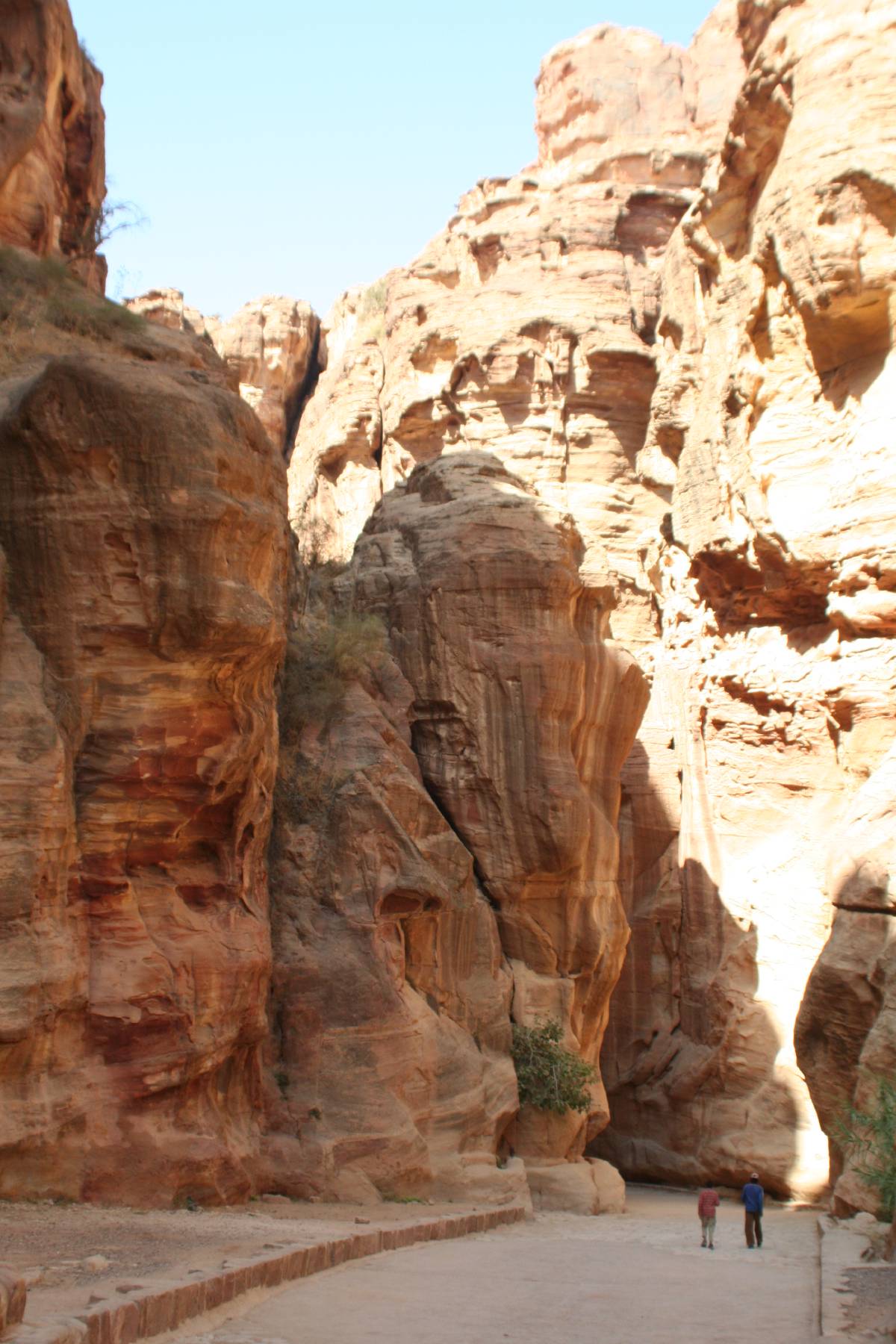 the siq the siq