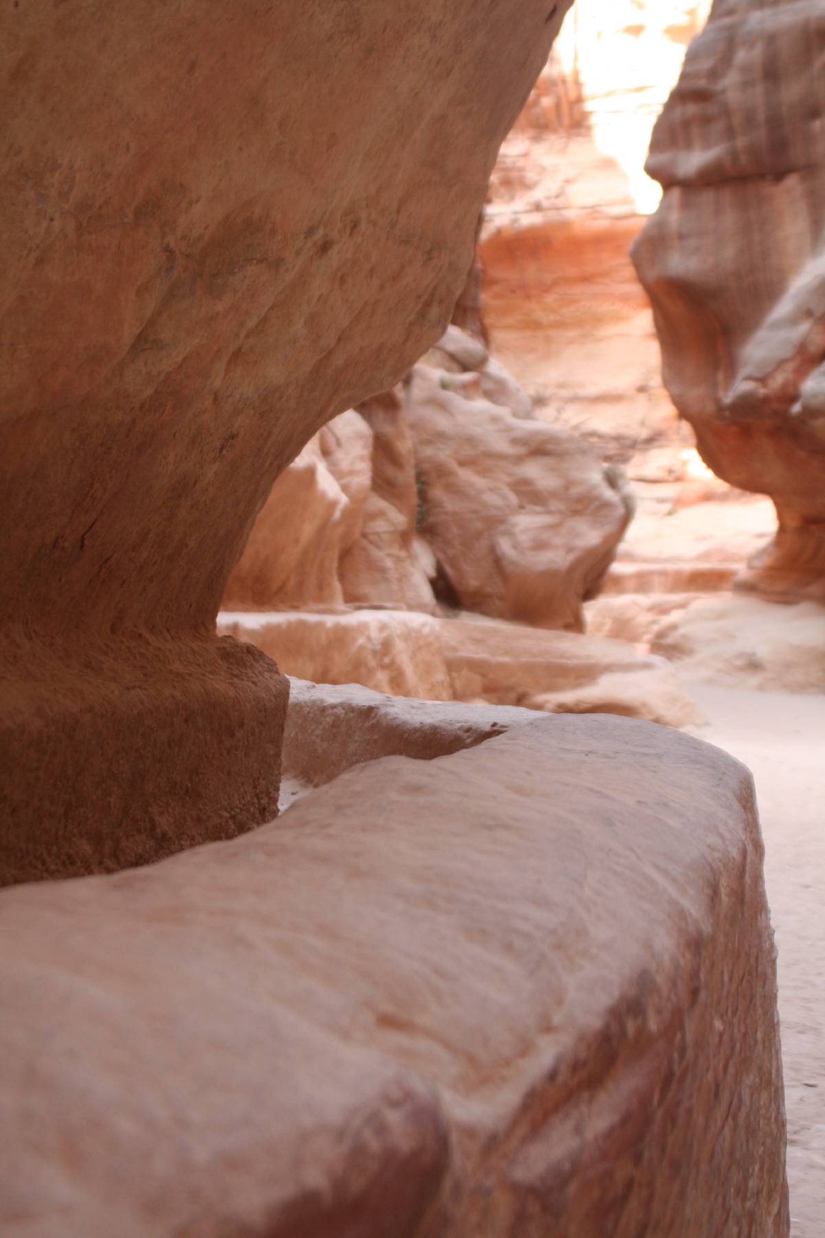 the siq the siq
