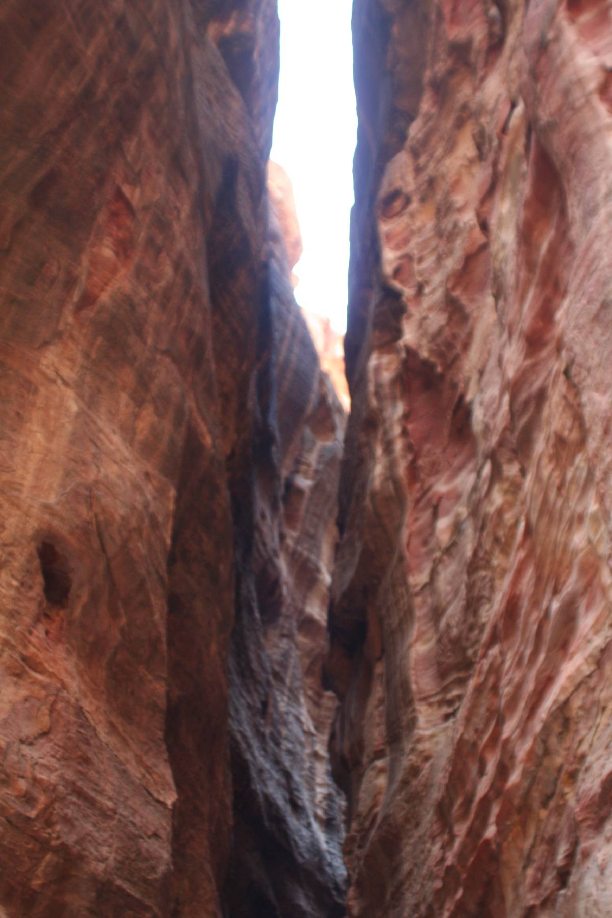 the siq the siq