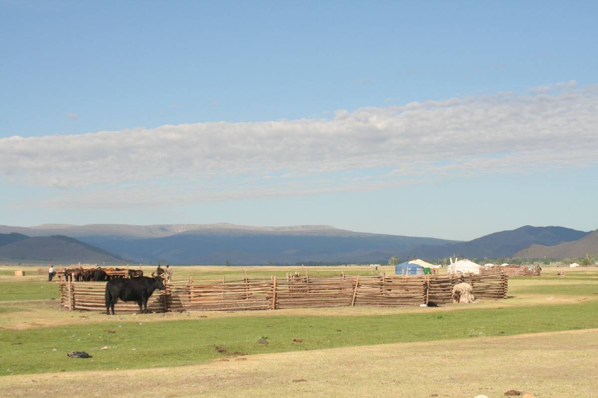 central mongolia central mongolia