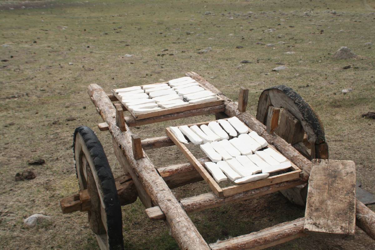 drying cheese drying cheese