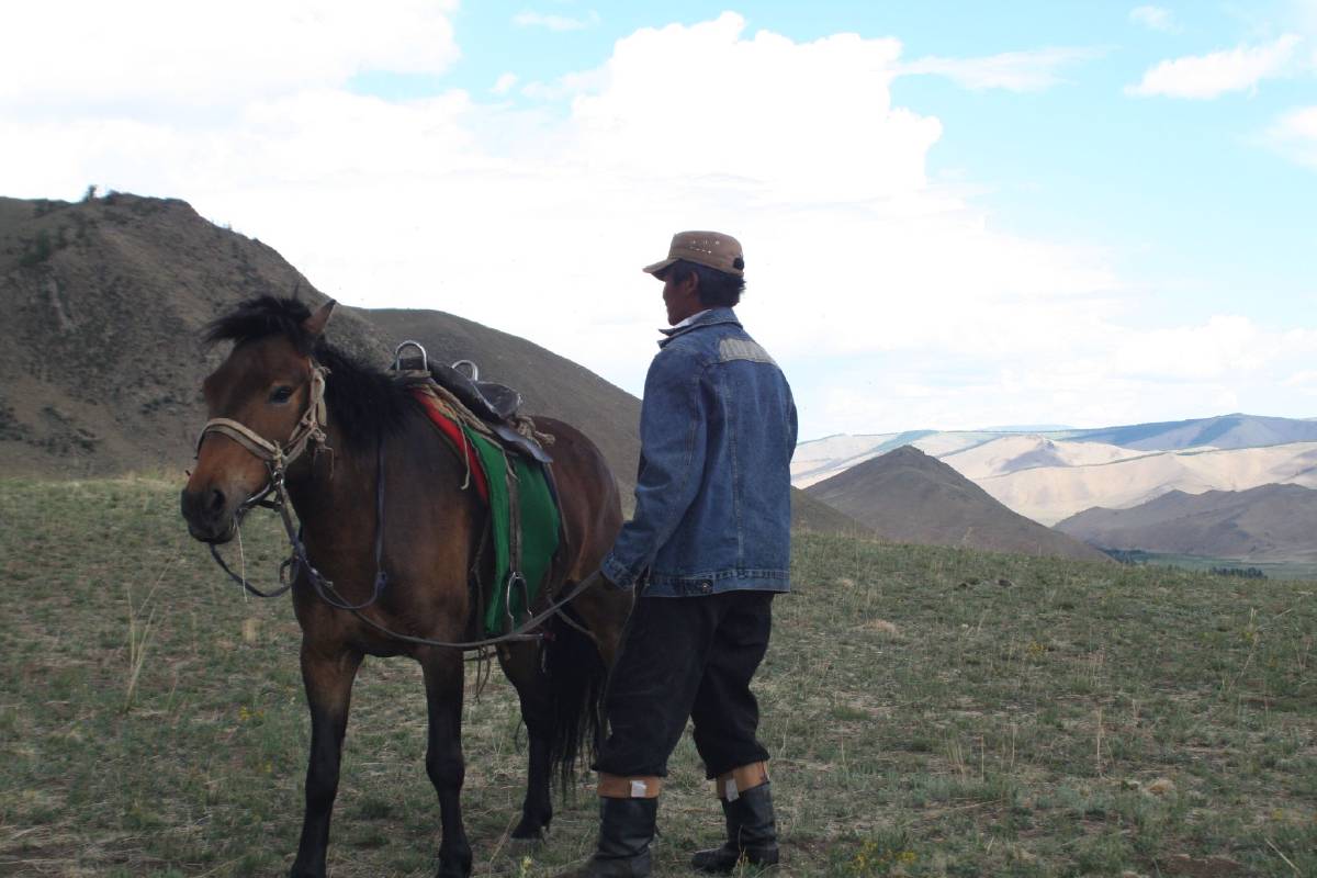herder and horse herder and horse