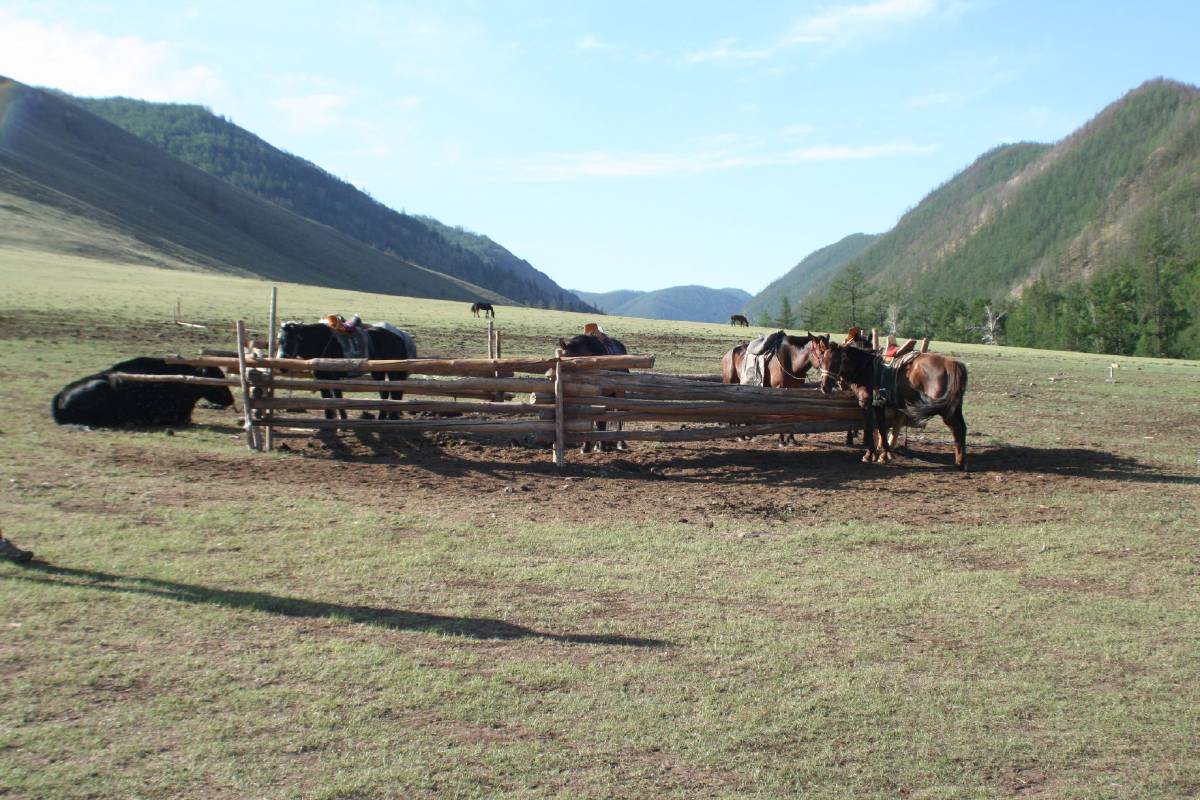 hitching post hitching post