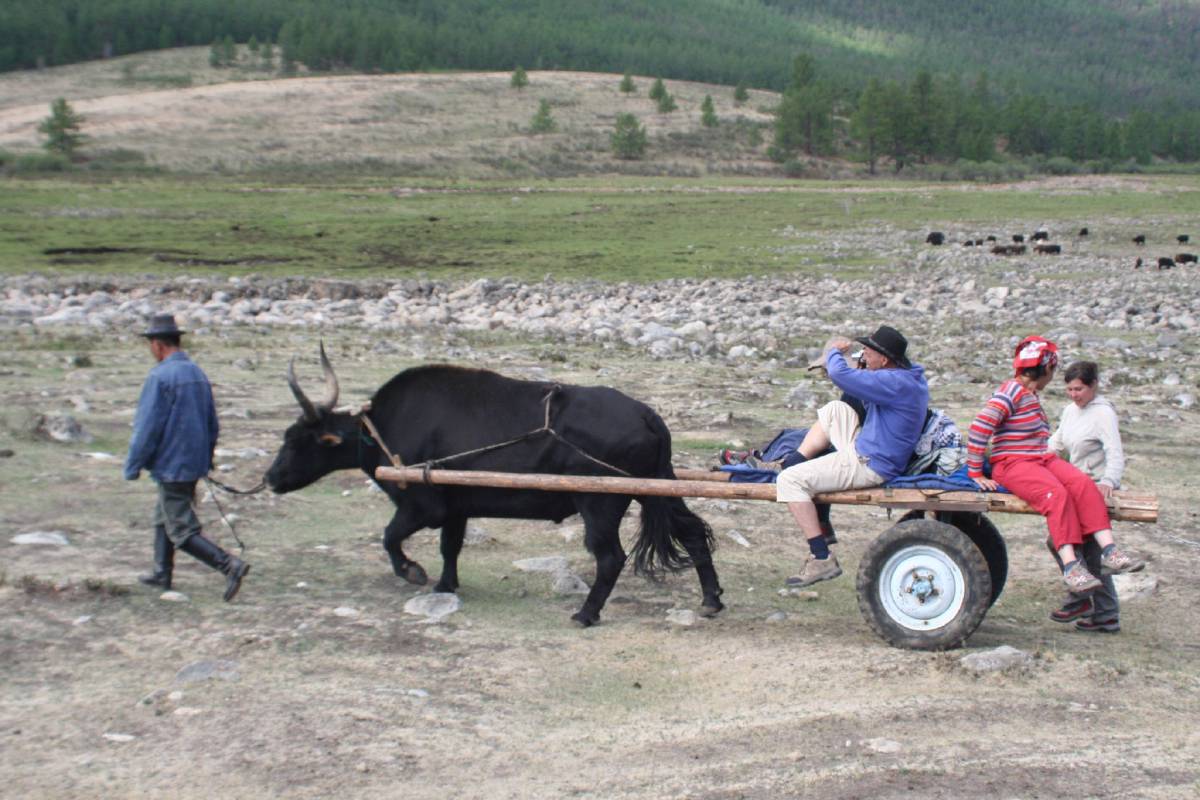 mongolian taxi mongolian taxi
