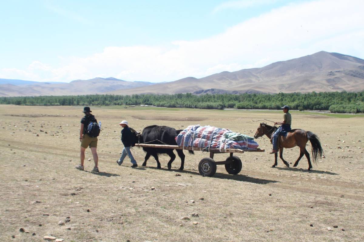 trekking central mongolia trekking central mongolia
