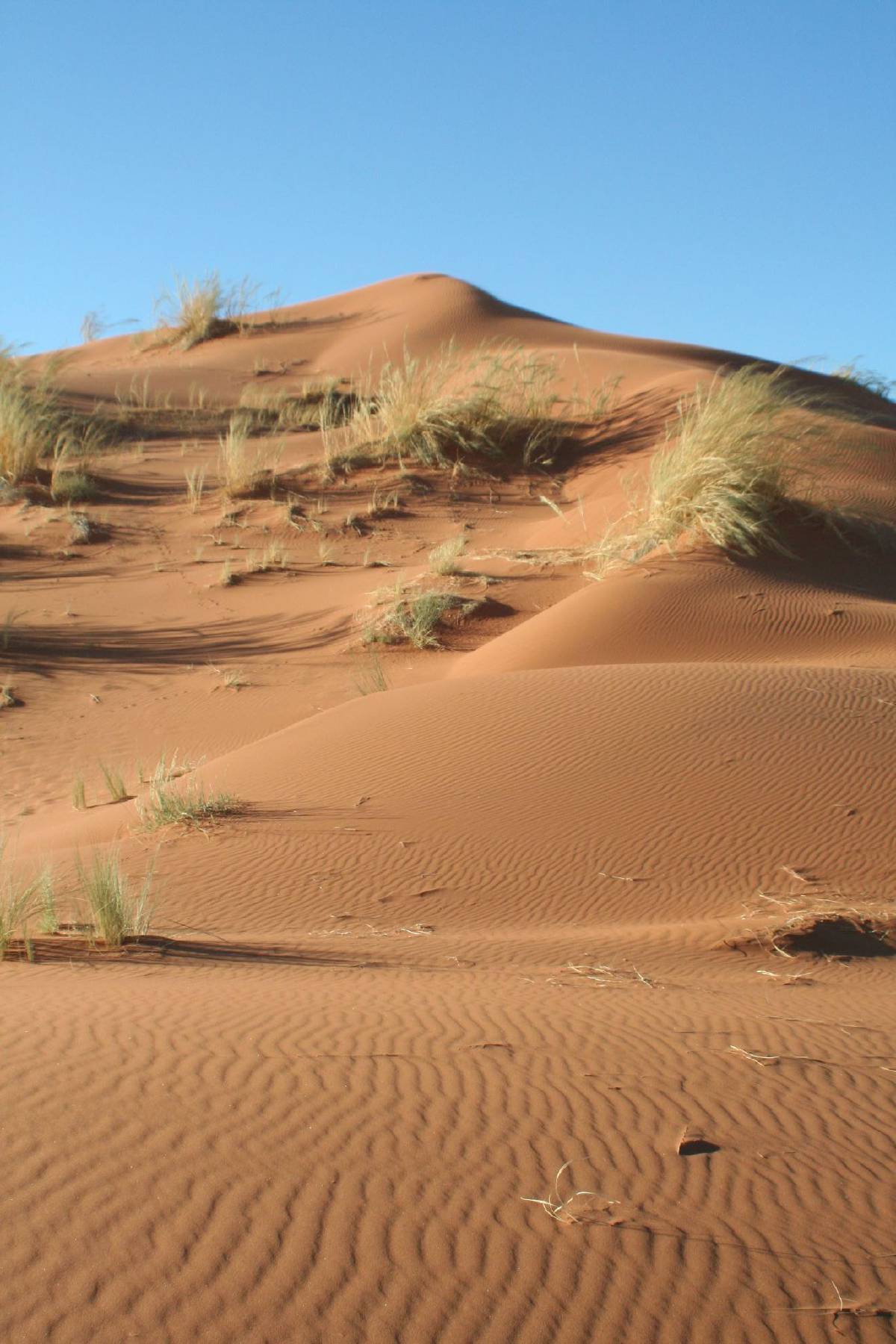 namib dunes namib dunes