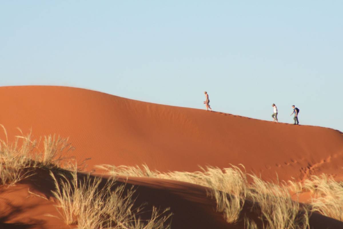 namib dunes namib dunes