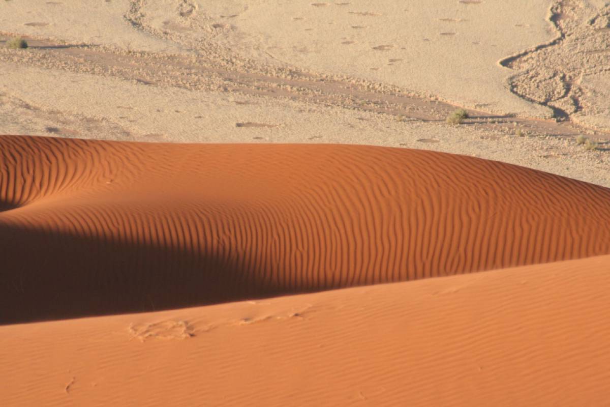 namib dunes namib dunes