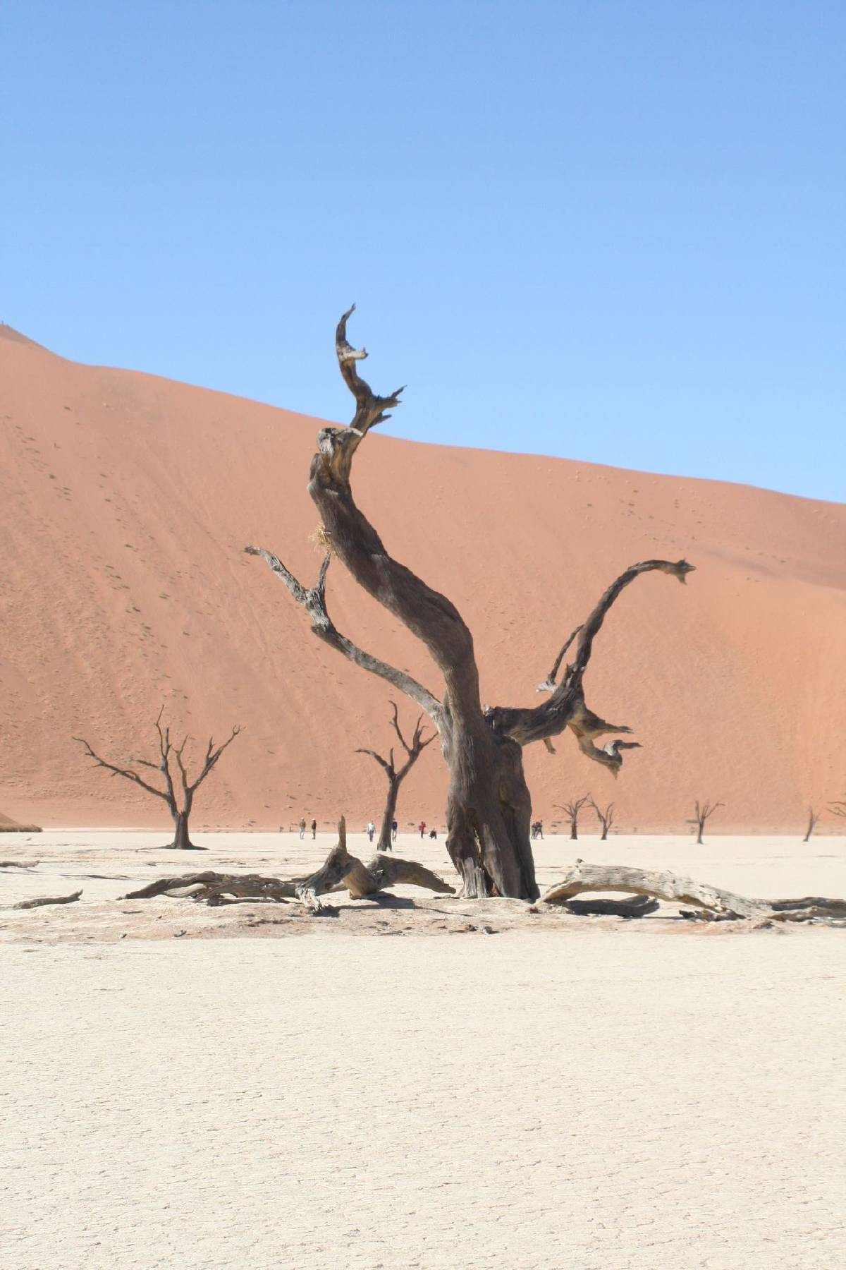 namib dunes namib dunes