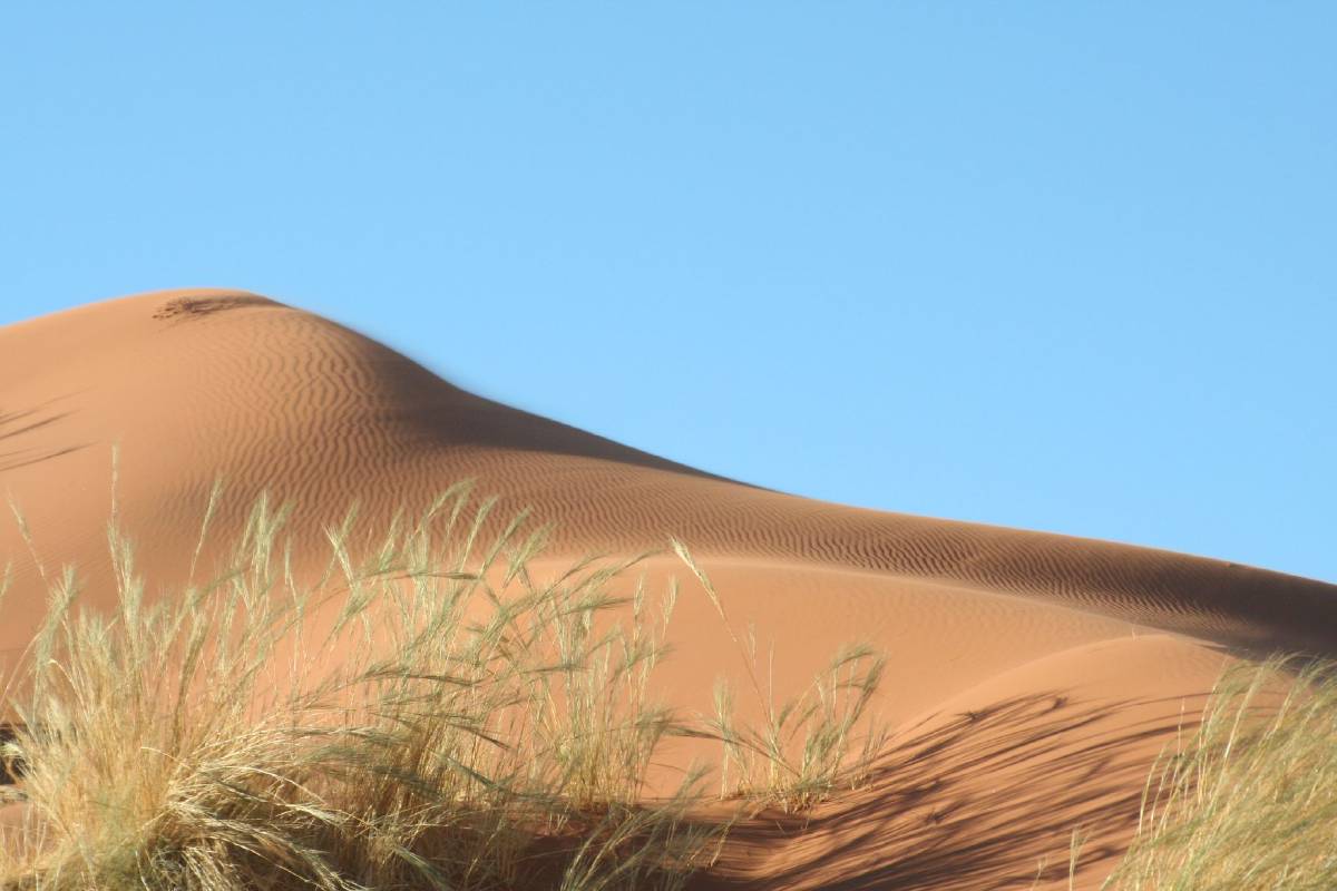namib dunes namib dunes
