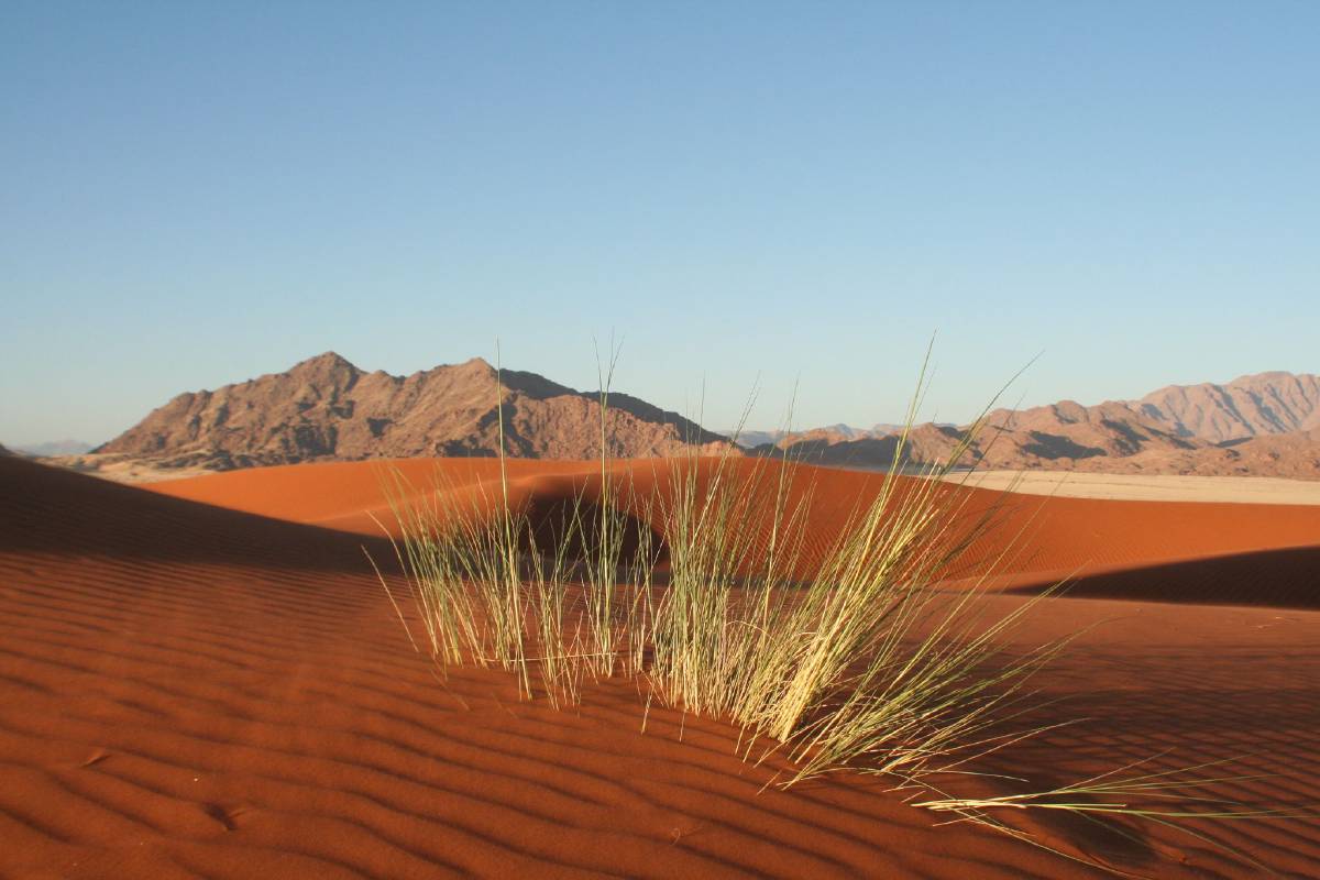 namib dunes namib dunes