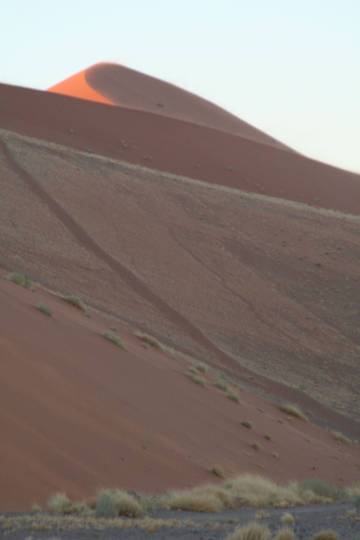 namib dunes namib dunes
