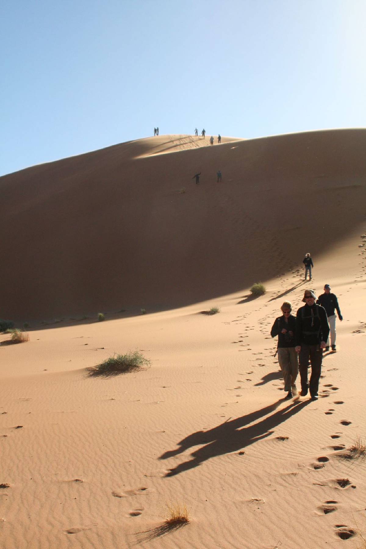 namib dunes namib dunes