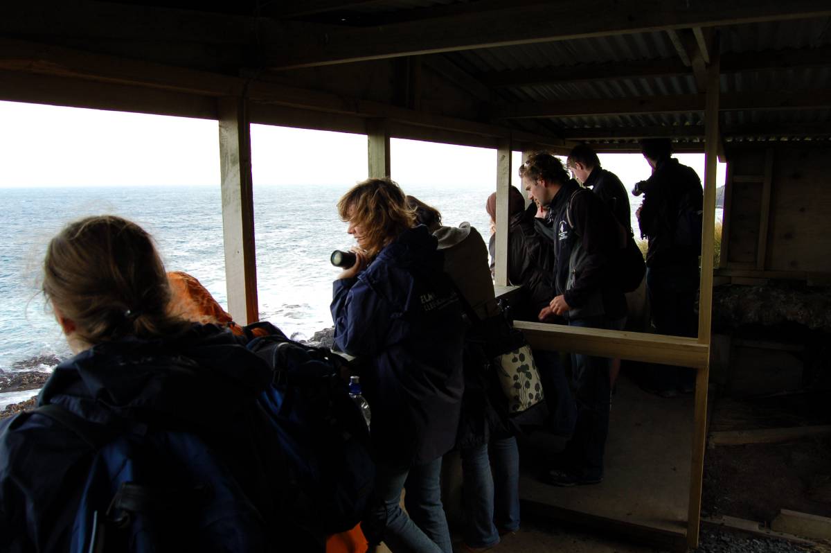 seal hut seal hut