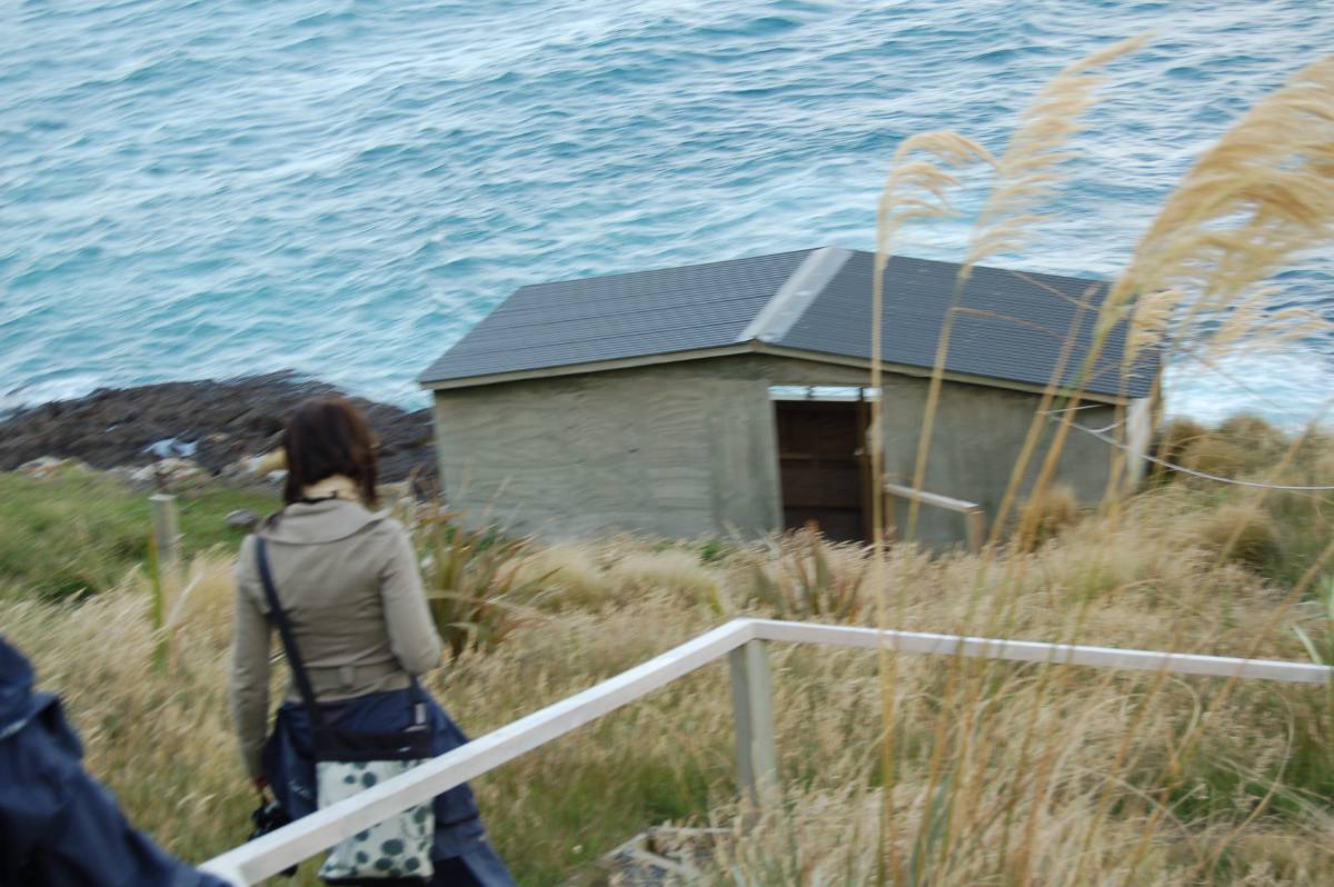 the hut at seal rock the hut at seal rock