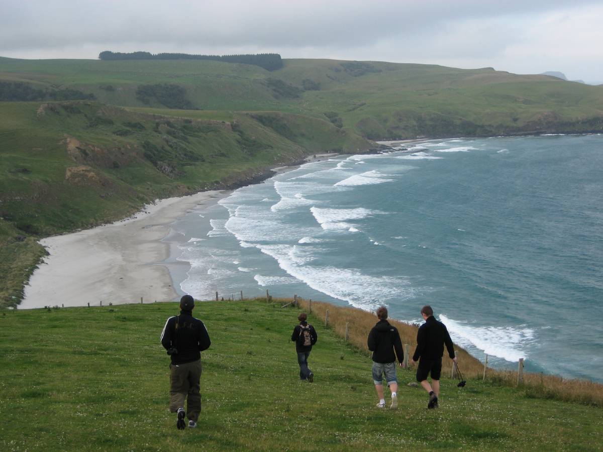 tourists walk to sea-lion cove tourists walk to sea-lion cove