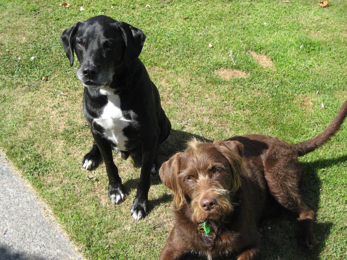 Griffin and Buckley Griffin and Buckley