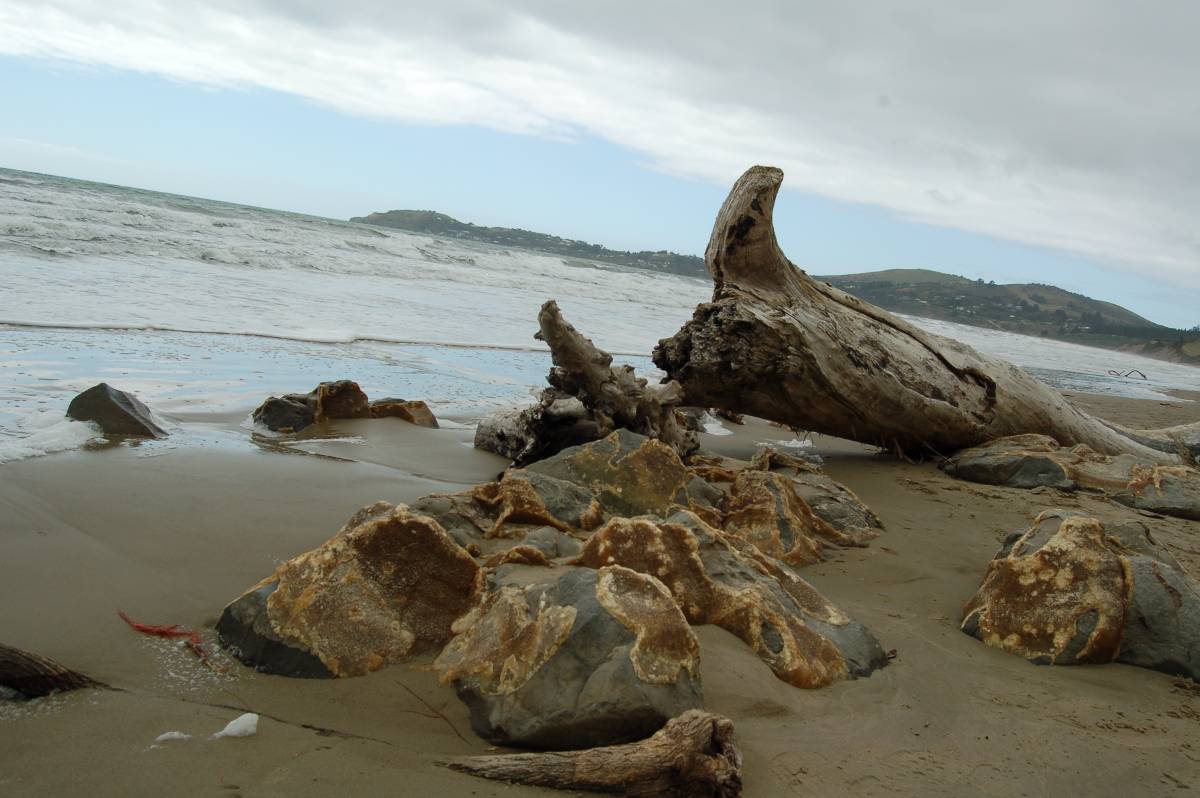 boulders at moeraki boulders at moeraki