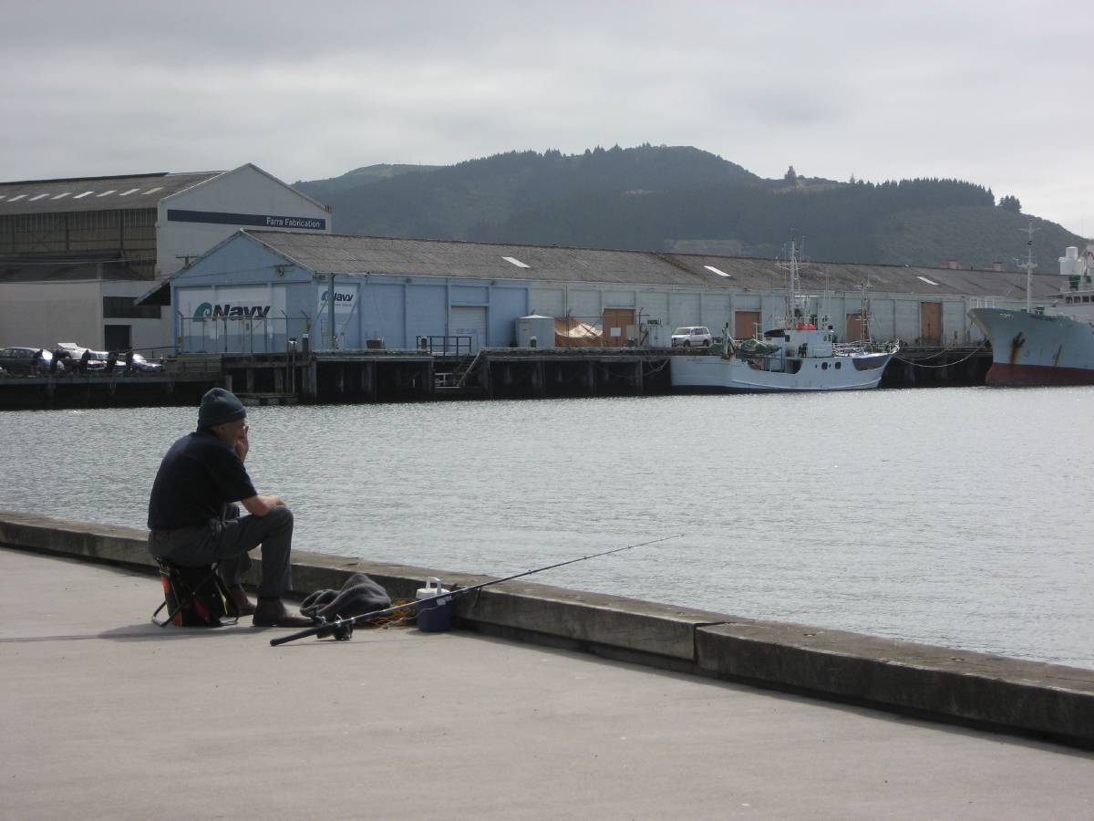 dunedin harbour dunedin harbour