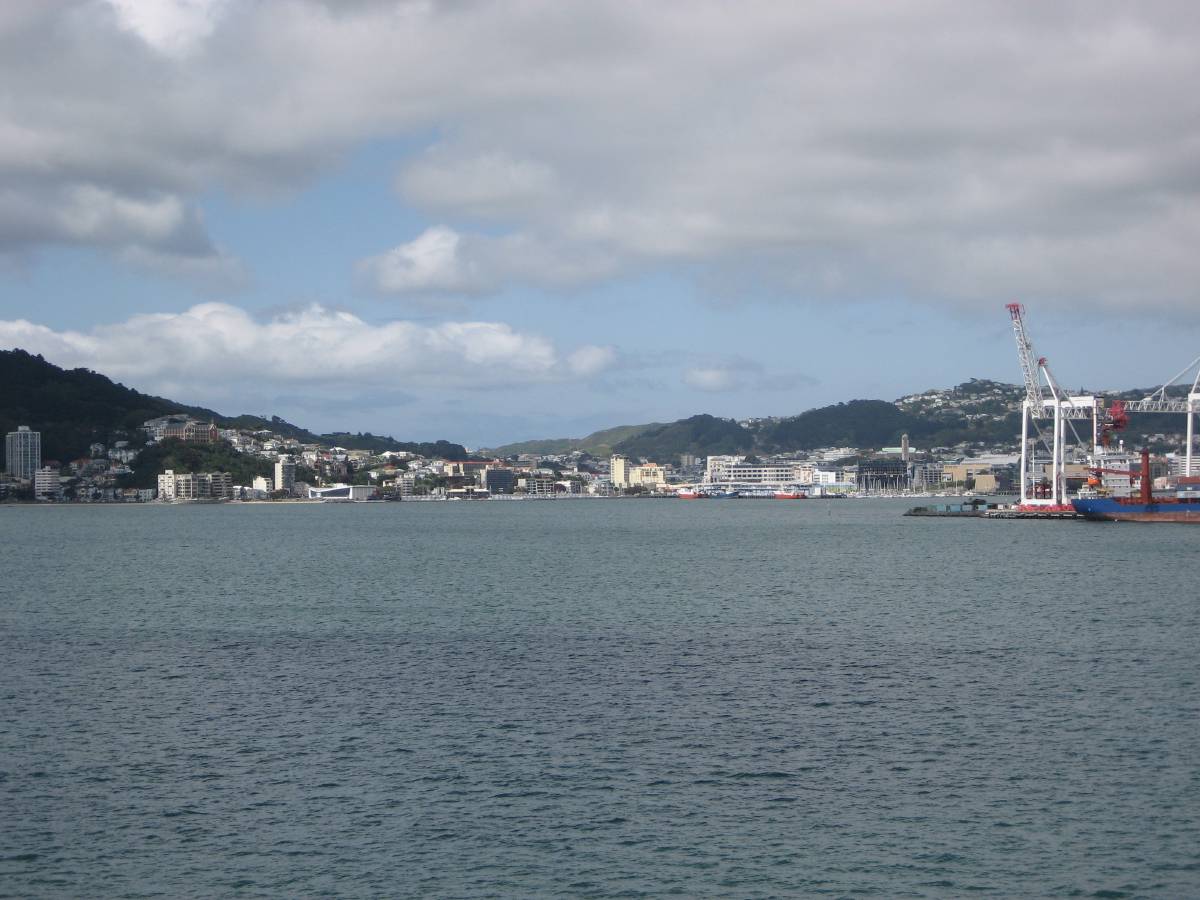 wellington harbour wellington harbour