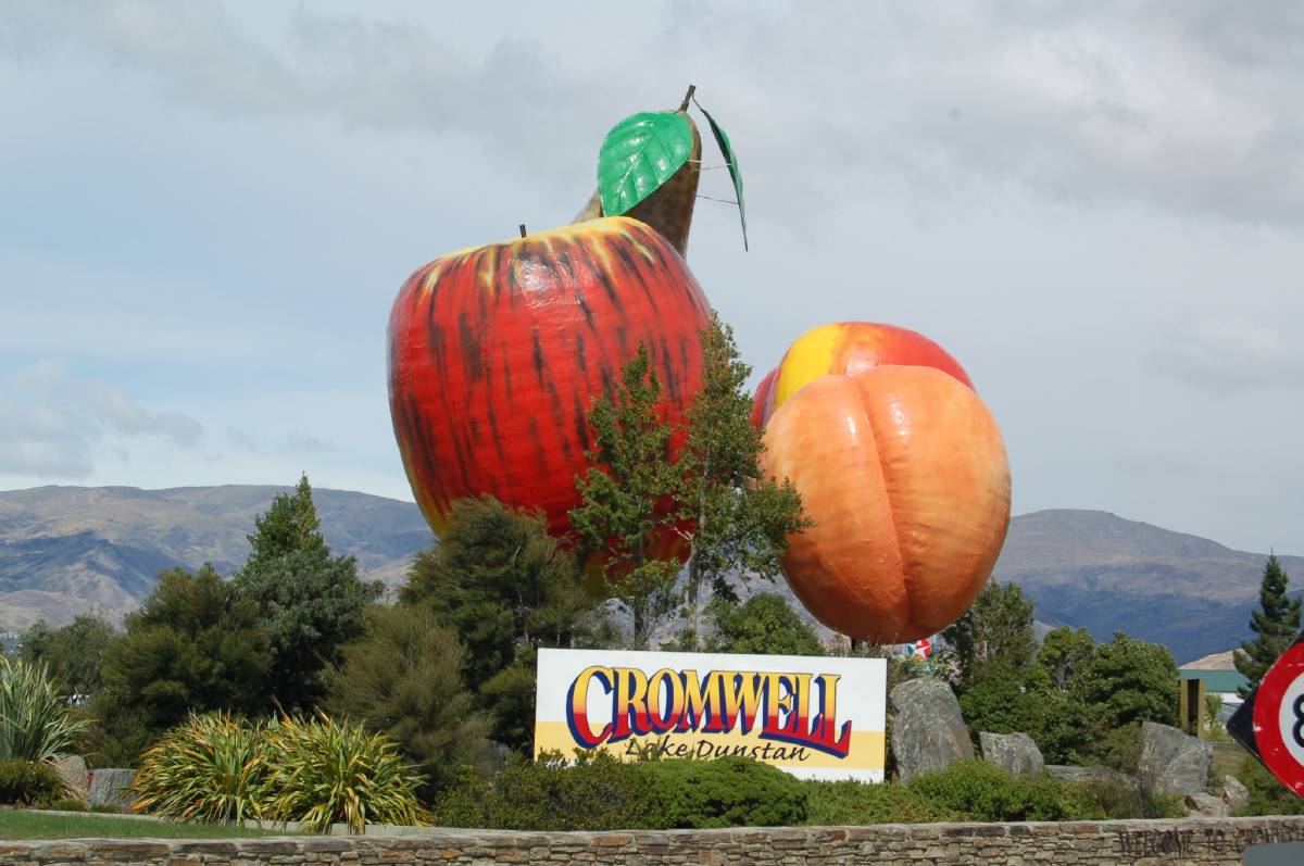 cromwell welcome fruit cromwell welcome fruit