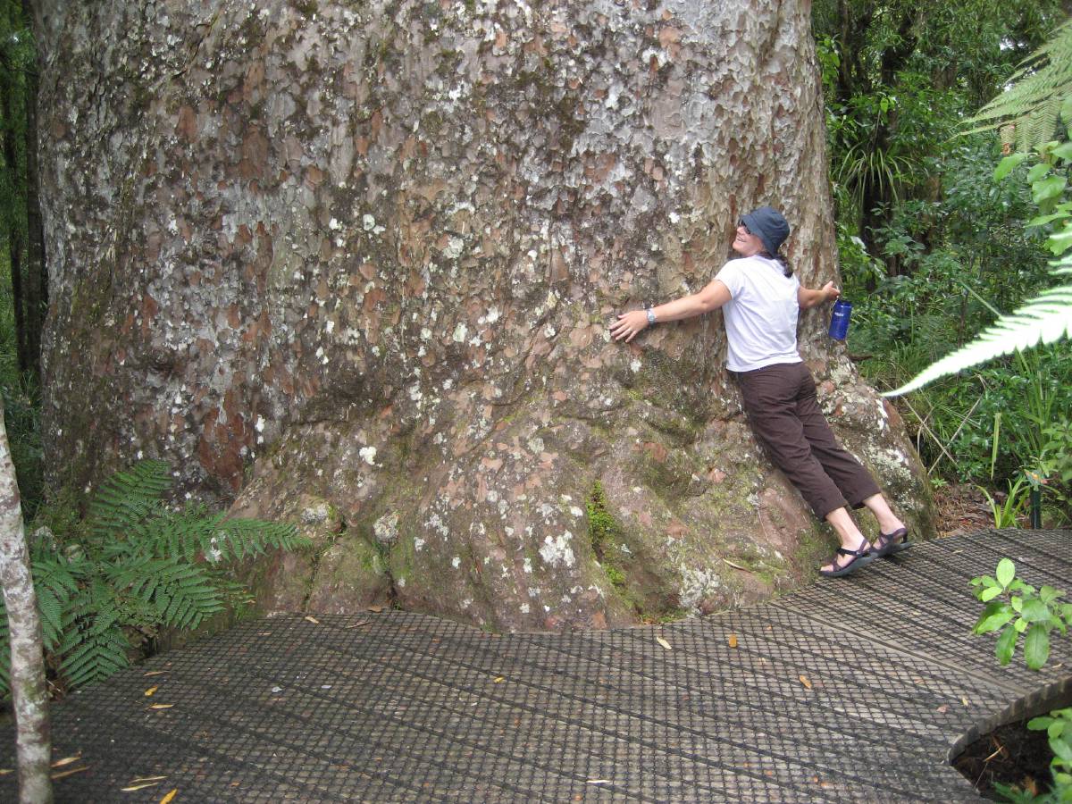 tree hugger tree hugger