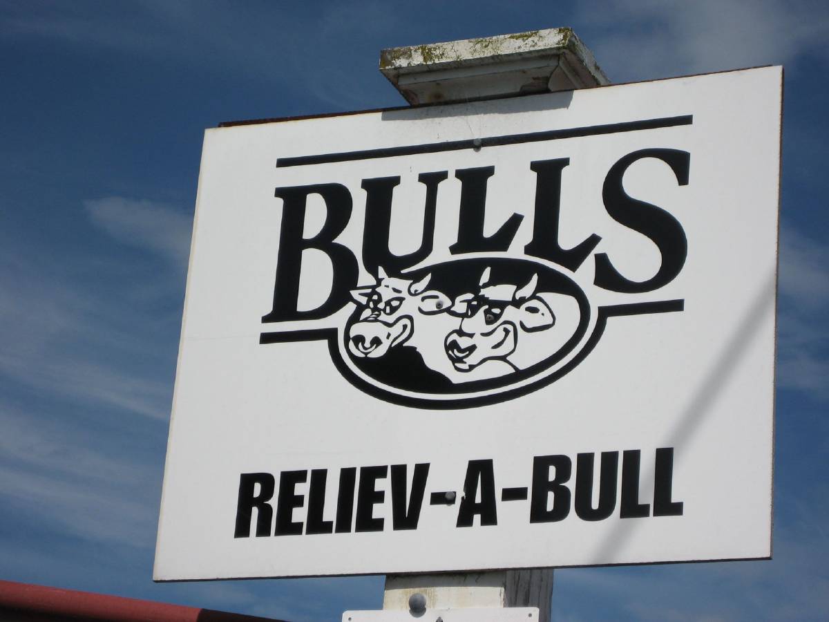 bulls nz bulls nz