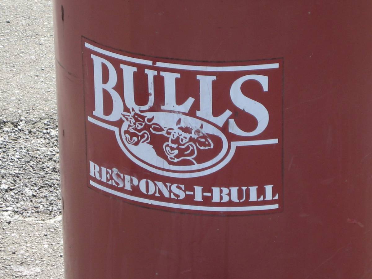 bulls nz bulls nz