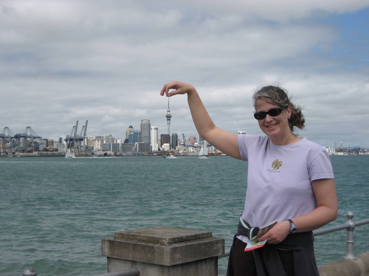 Auckland Auckland