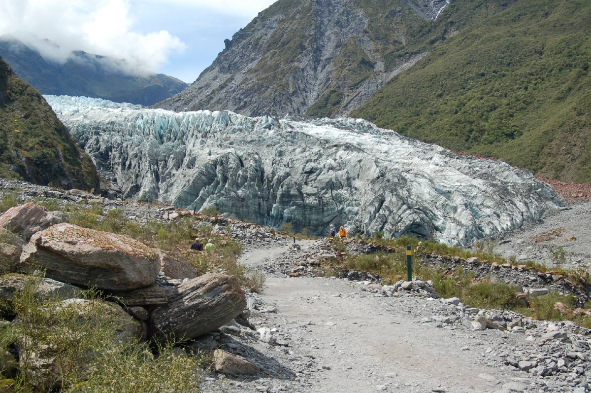 fox glacier fox glacier