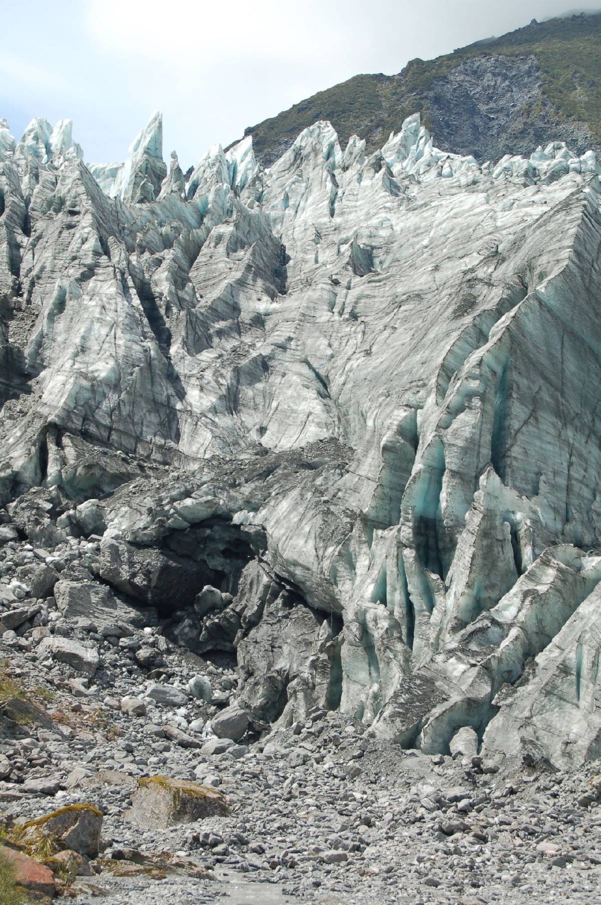 fox glacier fox glacier