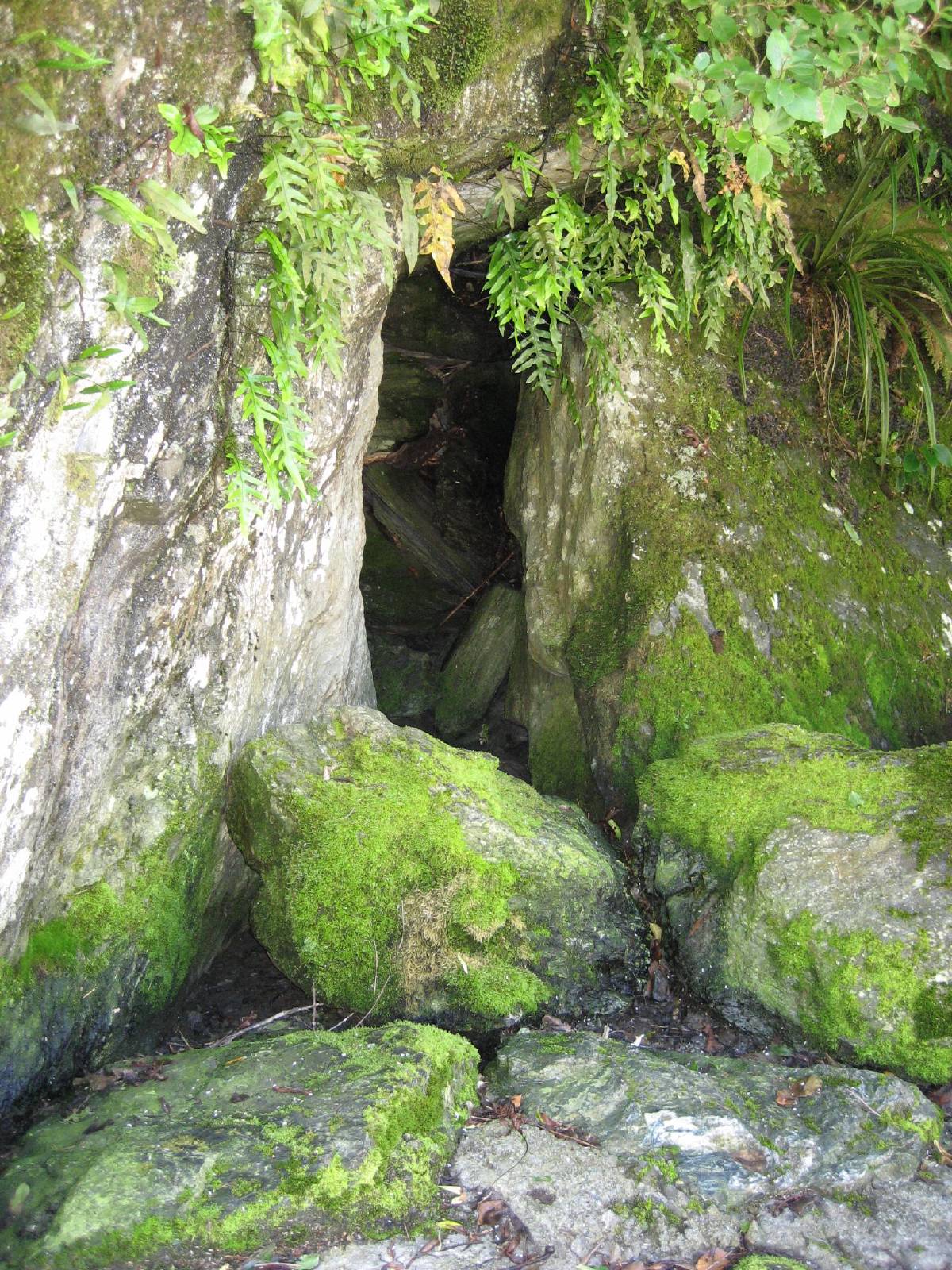 gates of haast gates of haast