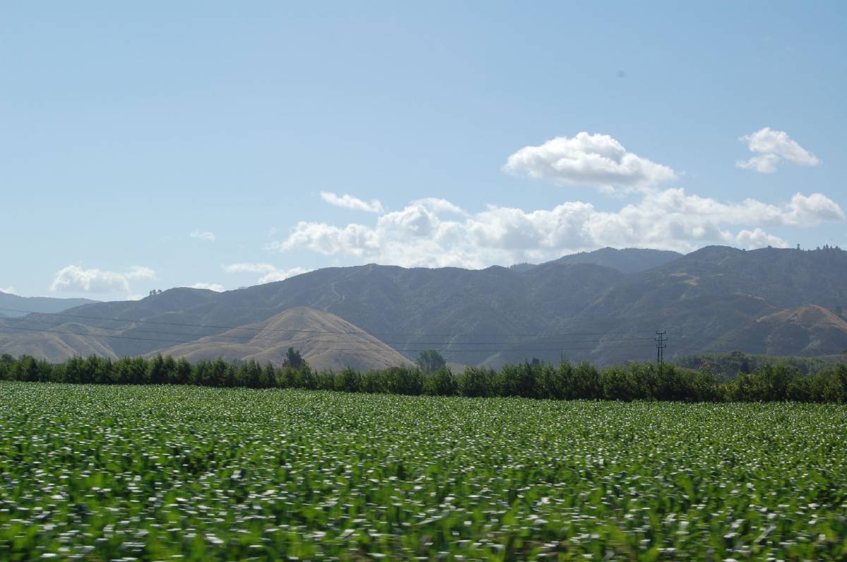 marlborough wine country marlborough wine country