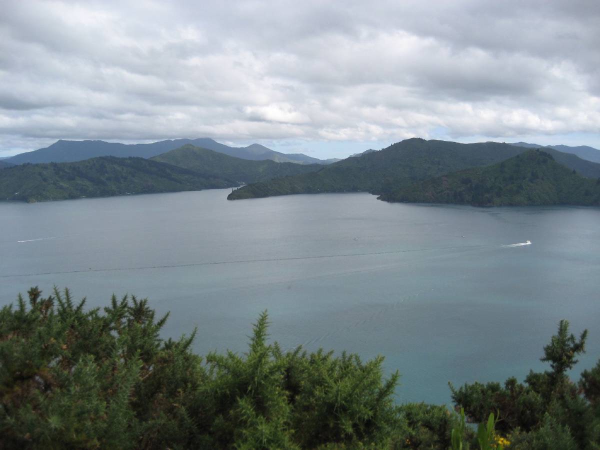 queen charlotte sound queen charlotte sound