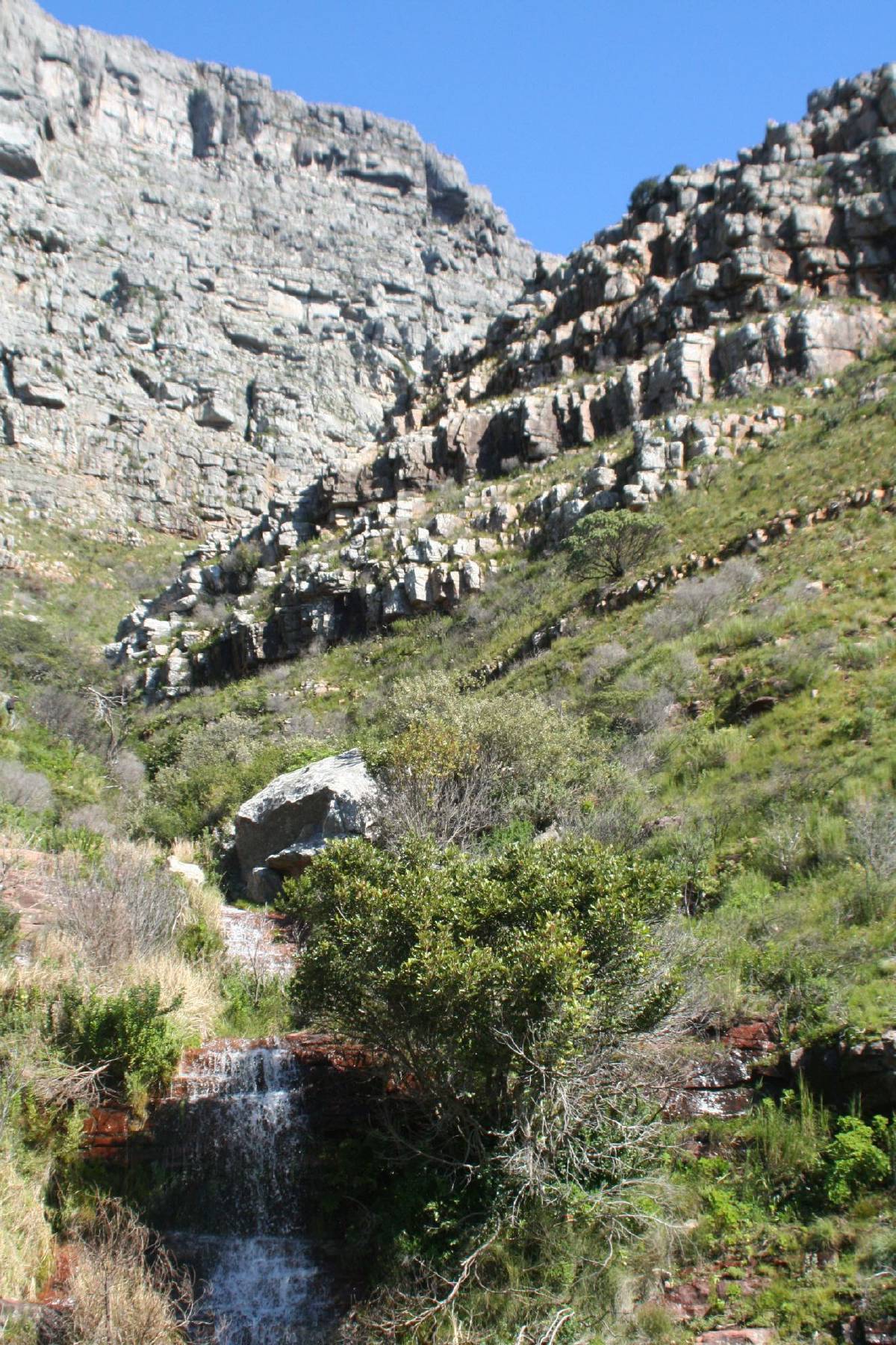 table mountain table mountain