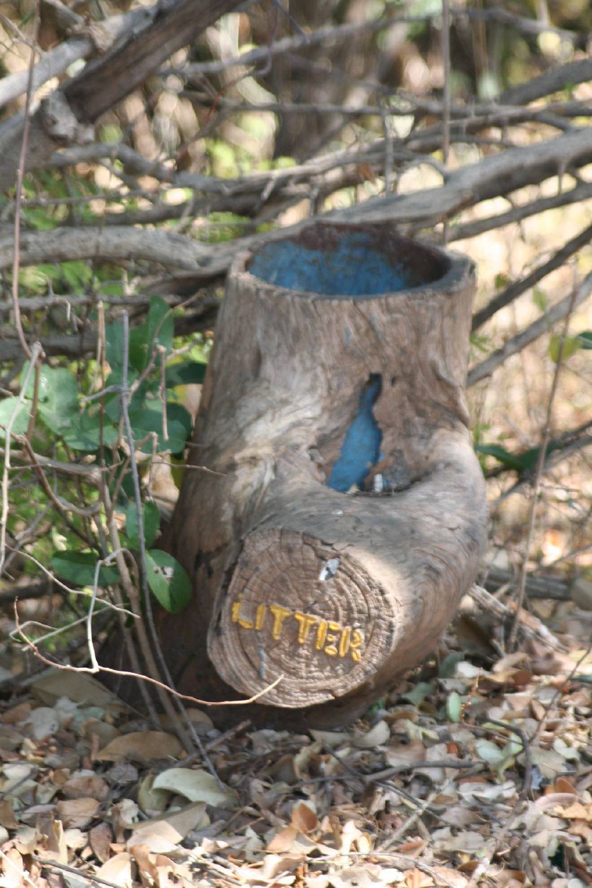 victoria falls trash can victoria falls trash can