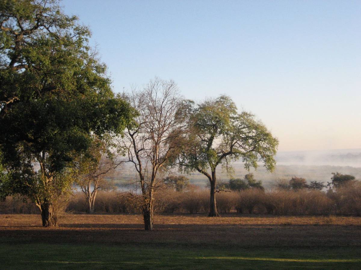 zambezi river view from lodge zambezi river view from lodge